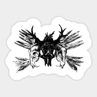 Skulls and feathers Sticker